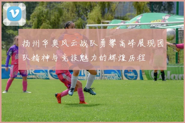 扬州华奥风云战队勇攀高峰展现团队精神与竞技魅力的辉煌历程
